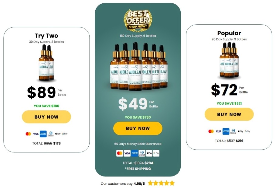 AudiLeaf Price Packages
